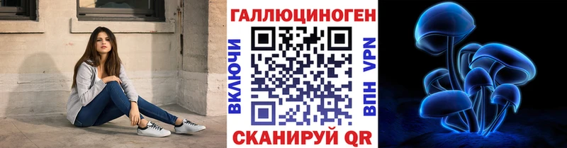 Купить где Покров Псилоцибиновые грибы Magic Shrooms