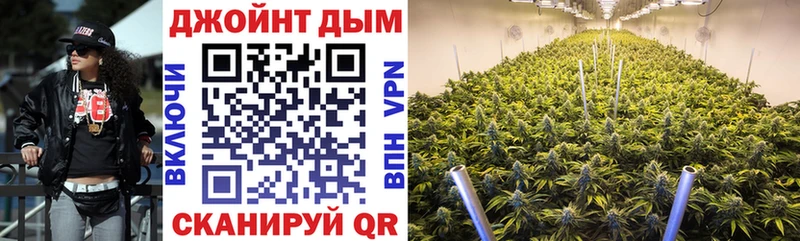 Бошки марихуана индика  Купить где  Покров 